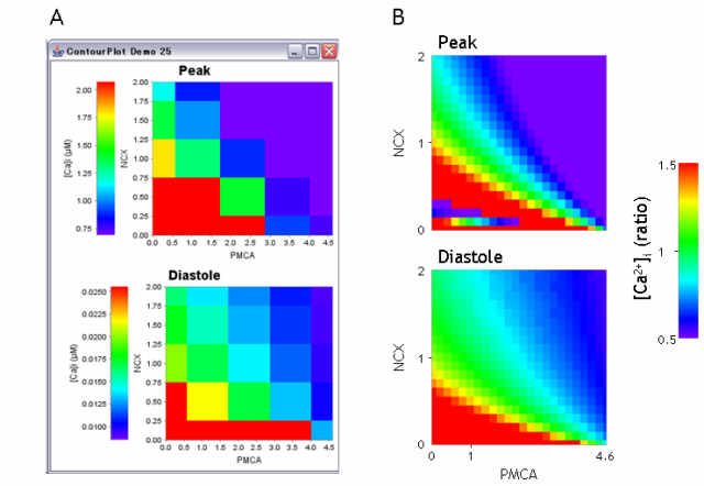 Fig. 3. Two-dimensional color contour plot by a single PC with 2 Xeon CPUs (A) and by 11 PCs (B). Figure B was modified from Fig. 3B in Sarai et al. (2006a).