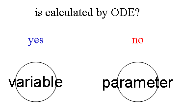 define parameters and variables